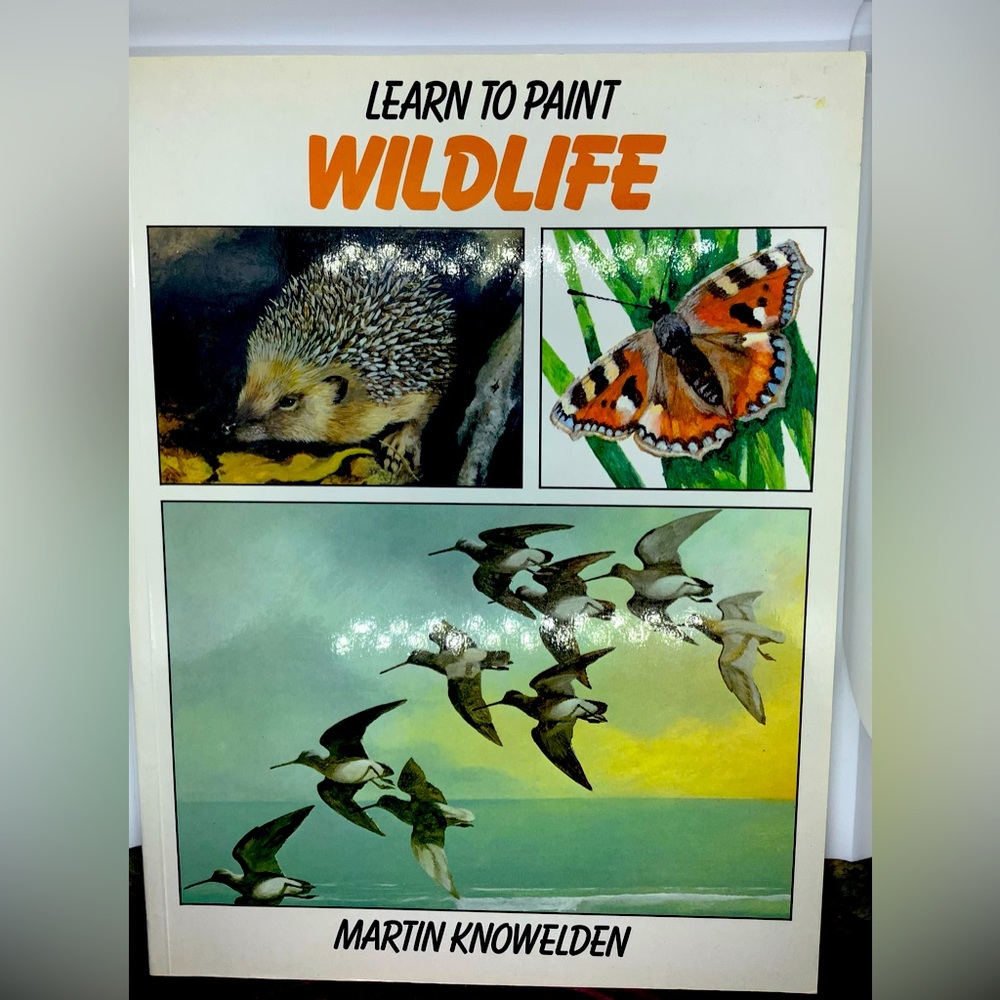 Learn To Paint Wildlife Book By Martin Knowelden Art Education Book